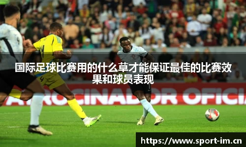 国际足球比赛用的什么草才能保证最佳的比赛效果和球员表现