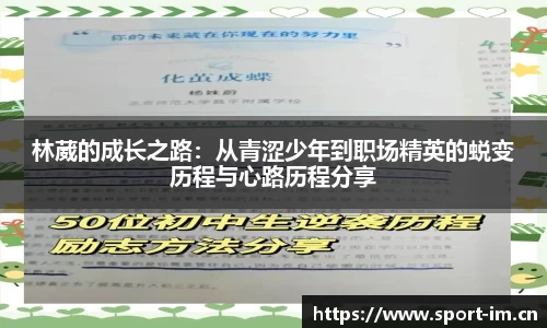 im体育平台